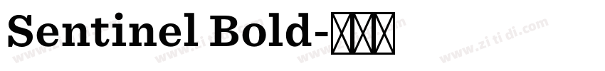Sentinel Bold字体转换 Sentinel Bold字体转换
